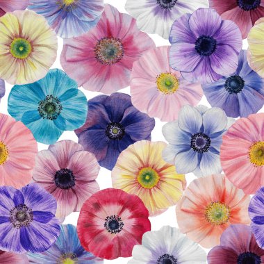 Dikişsiz suluboya çiçekler deseni. Poppies çiçekleri. Farklı renklerde el boyalı çiçekler. Çiçekler için tasarım.  