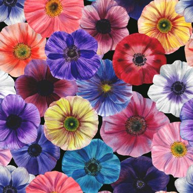 Dikişsiz suluboya çiçekler deseni. Poppies çiçekleri. Farklı renklerde el boyalı çiçekler. Çiçekler için tasarım.  