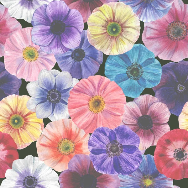 Dikişsiz suluboya çiçekler deseni. Poppies çiçekleri. Farklı renklerde el boyalı çiçekler. Çiçekler için tasarım.  