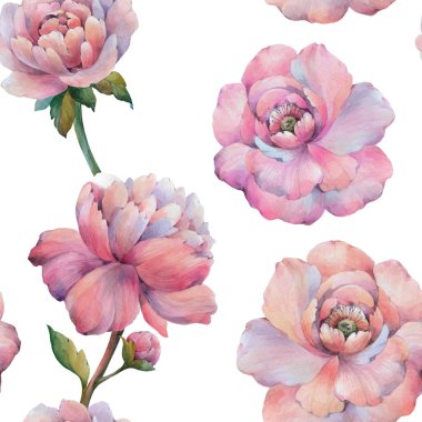 Dikişsiz suluboya çiçek deseni. Suluboya şakayık çiçekler. Tasarım için çiçekler. Beyaz arka planda izole çiçekler. Dikişsiz çiçek deseni. Mor şakayık çiçek botanik çiçek. 