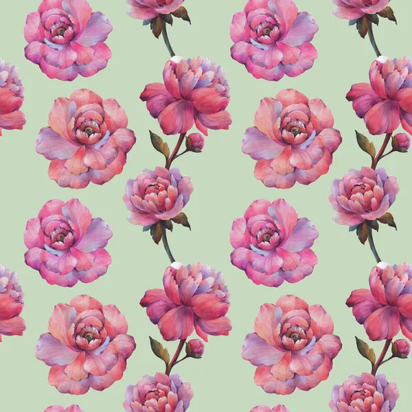 Seamless watercolor flowers pattern. Watercolor peony flowers. Flowers for design. Ornament flowers. Seamless floral pattern. Purple peony floral botanical flower.