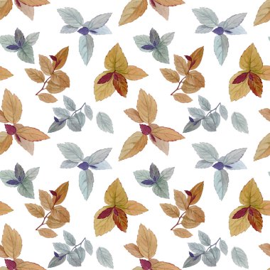 Dikişsiz suluboya deseni. Bir dizi yaprak. Suluboya boyalı yaprakları. Tasarım öğesi. Sanat tasarımı için zarif yapraklar. Beyaz arka plan üzerinde el boyalı yapraklar.