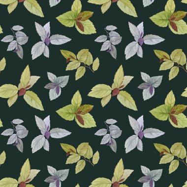 Dikişsiz suluboya deseni. Ambalaj, duvar kağıdı, kumaş için çizilmiş yaprakları. Tasarım öğesi. Suluboya boyalı yaprakları. Sanat tasarımı için zarif yapraklar. 