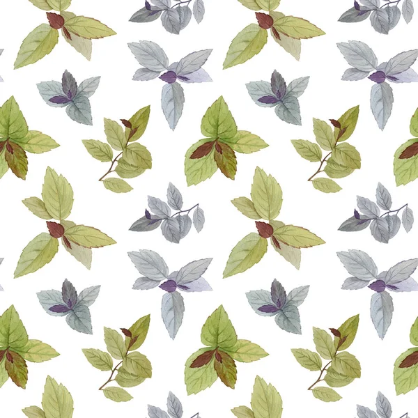 Seamless watercolor pattern. A set of leaves. Watercolor painted leaves. Design element. Elegant leaves for art design. Hand painted leaves on white background.