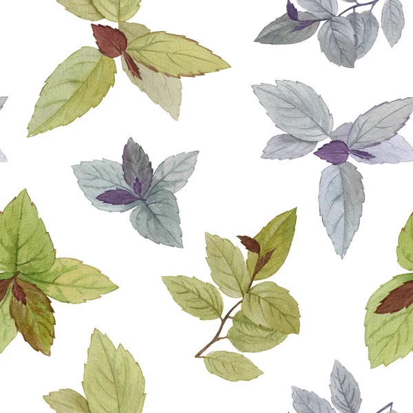 원활한 수채화 디자인용 나뭇잎 세트입니다 수채화 단풍을 그렸습니다 디자인 요소입니다 — 스톡 사진