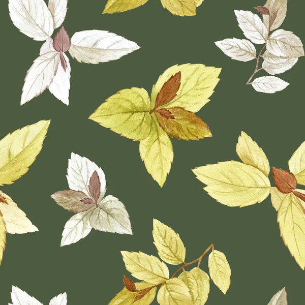 Seamless watercolor pattern. Drawn leaves for packaging, wallpaper, fabric. Design element. Watercolor Seamless watercolor pattern. Drawn leaves for packaging, wallpaper, fabric. Design element. Watercolor painted leaves. Elegant leaves for art desig