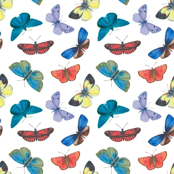 Különböző Színű Pillangók Festett Akvarell Zökkenőmentes Fényes Minta Pillangók Akvarell — Stock Fotó