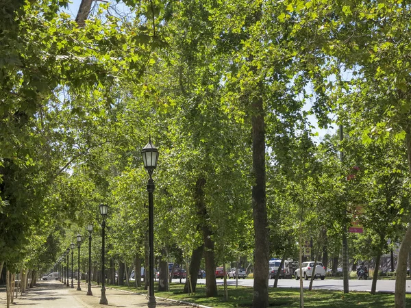 Trottoaren Park Centrum Staden Santiago Huvudstad Chile Sydamerika — Stockfoto