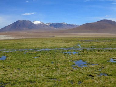 Atacama Çölü Vulkan'da kuzeyinde Şili ile görünümünü