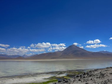 Miniques lagün ve yanardağ - Atacama Çölü, Şili. Andes, yer