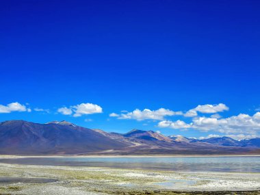 Miniques lagün ve yanardağ - Atacama Çölü, Şili. Andes, yer