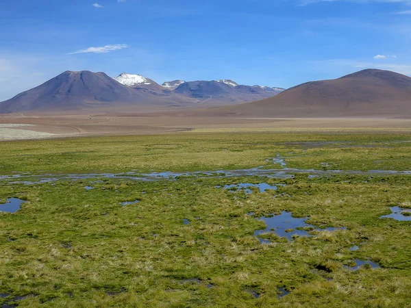 View Atacama Desert Vulcan North Chile — Stock Photo, Image