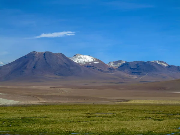 Widok Pustyni Atacama Północ Chilli — Zdjęcie stockowe