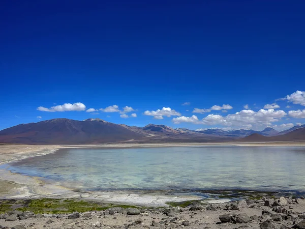 Miniques 泻湖和火山 阿塔塔塔沙漠 安第斯 — 图库照片