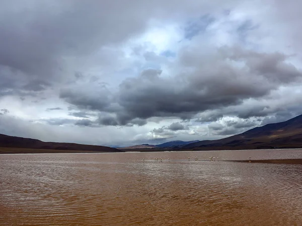 Miniques Lagoon Volcano Atacama Desert Chile Andes Place — Stock Photo, Image