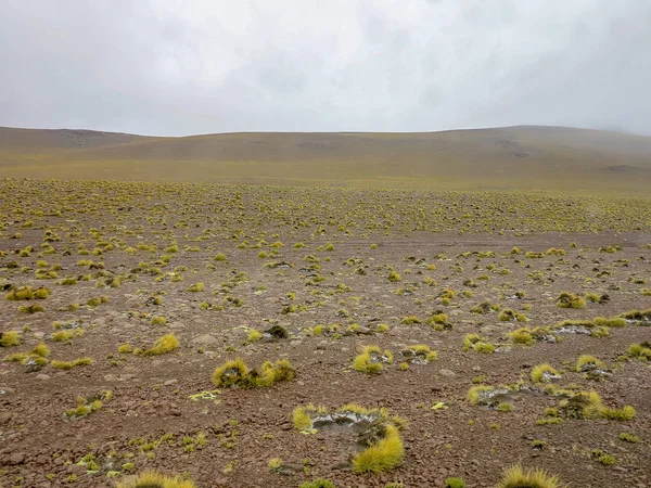 Vue Sur Désert Atacama Nord Chili — Photo