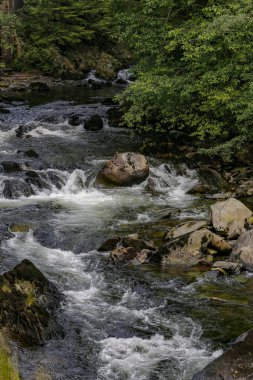 Dere sokak Ketchikan, Alaska ile çalışan Nehri
