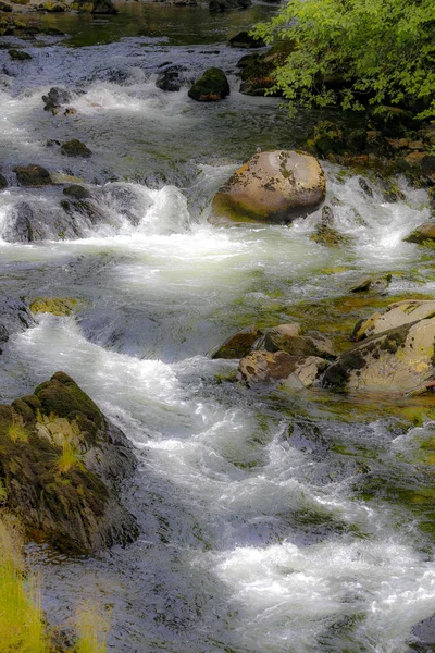 Río Corriendo Por Calle Creek Ketchikan Alaska — Foto de Stock