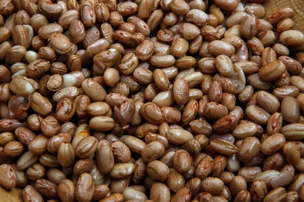 Carioca Frijoles en un tazón. Agricultura, semillas . — Foto de Stock