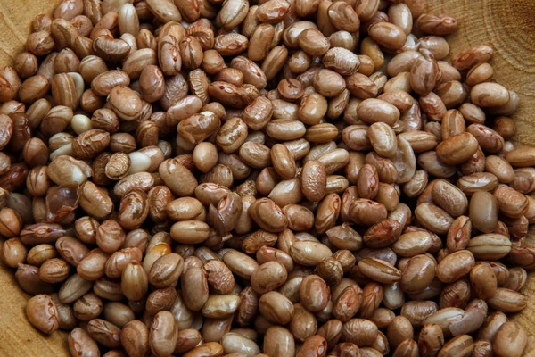 Carioca Frijoles en un tazón. Agricultura, semillas . — Foto de Stock