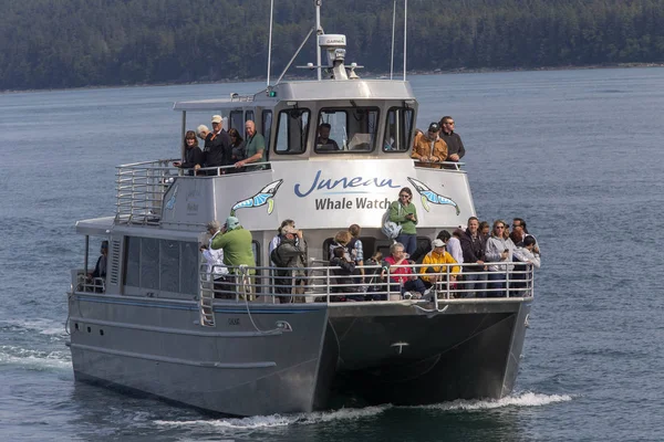 Barco de observación de ballenas en Juneau, Alaska — Foto de Stock