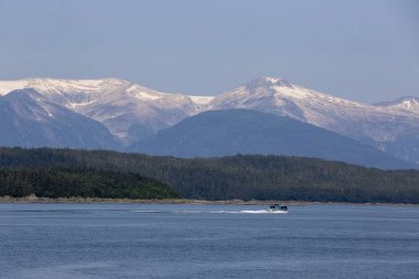 Juneau, Alaska 'da balina izleme teknesi