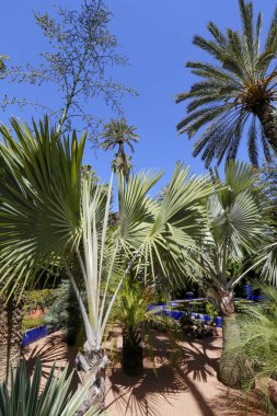 Terrasse Majorelle 