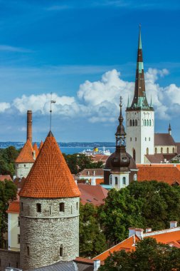 tallinn, Estonya şehir binalar doğal yaz hava Panoraması