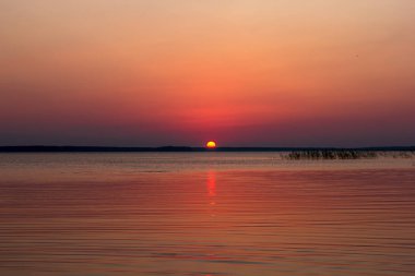Güzel göl günbatımı, Leningradskaya oblast, Rusya Federasyonu