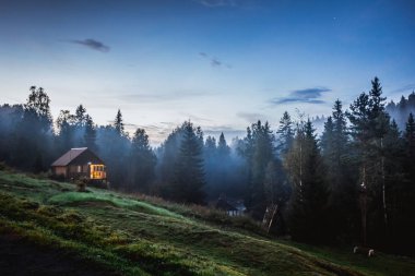 Küçük eski ahşap bir evde sisli orman.