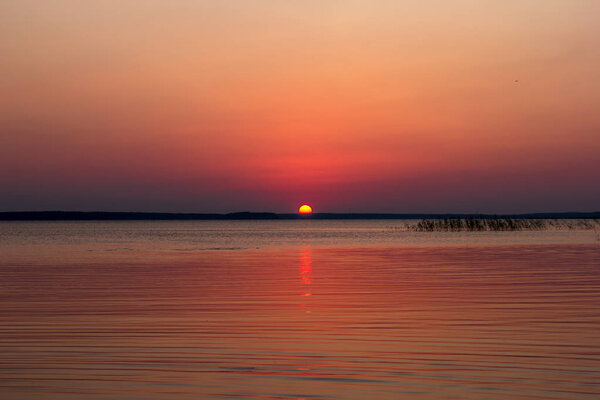 Beautiful lake on sunset , Leningradskaya oblast, Russian Federation