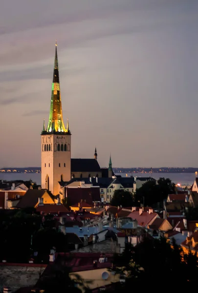 Panorama City Tallinn Distance Spire Church Olaf Baptist Church — Stock Photo, Image