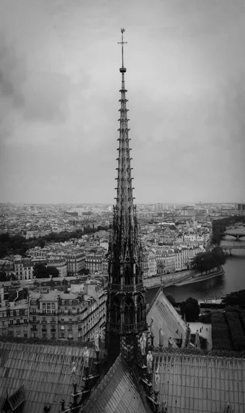 O pináculo de Notre Dame de Paris, vista panorâmica de Paris e do rio Sena a partir do telhado da catedral de Notre Dame, França. Tempo nublado . — Fotografia de Stock