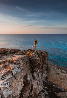 Yaz dağlarında uçurumun tepesinde deniz kenarında duran ve deniz ve doğanın manzarasının keyfini çıkaran kadın gezgin. Cape Greco, Kıbrıs, Akdeniz