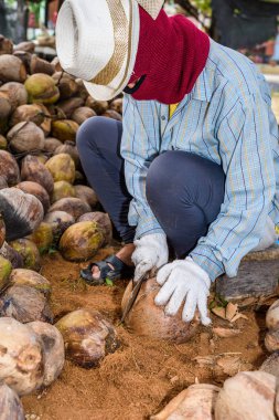 İşçi kesim için Hindistan cevizi ve yetiştirme, Hindistan cevizi gruptaki gibi için düzenleme sıralama.