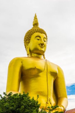 Büyük altın Buddha statue Wat Muang Tapınağı landmark angthong il, Tayland, toplayan