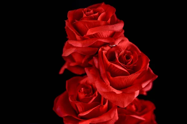 Μπουκέτο Από Κόκκινα Τριαντάφυλλα Μαύρο Φόντο Έννοια Του Αγίου Βαλεντίνου — Φωτογραφία Αρχείου