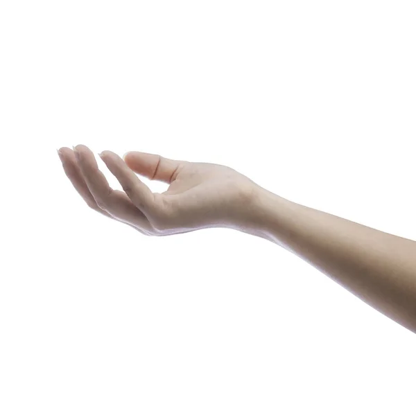 白で隔離される空の女性の女性の手の保有物 — ストック写真
