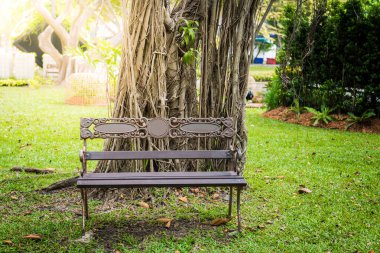 Demir tezgah uder büyük ağaç parkta