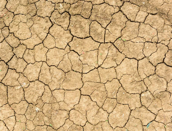 Closeup Cracked Ground Background Texture — Stock Photo, Image