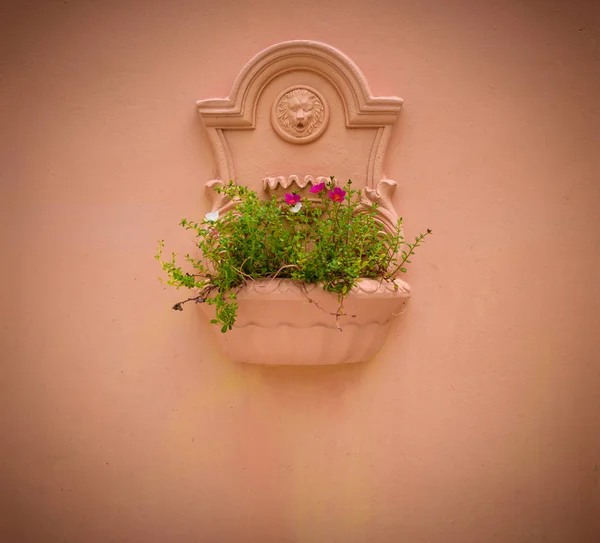 Arts stucco is on the wall. The potted plants