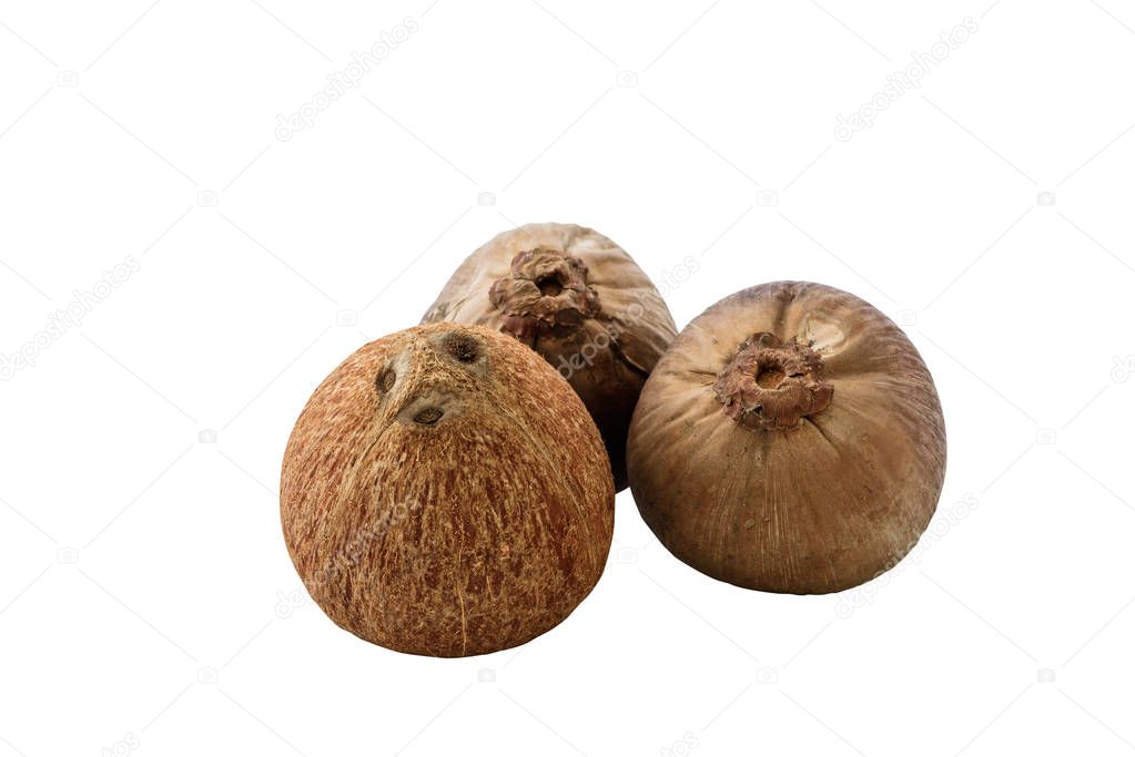close up of fresh coconut isolated on white background with clipping path