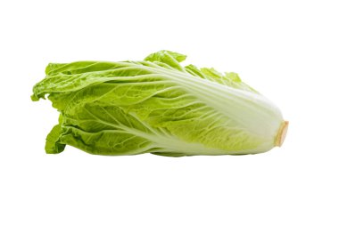 Beyaz arka plan üzerinde taze Çin lahanası. kırpma yolu ile