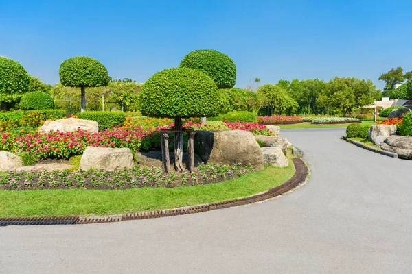 Jardinería Paisajismo Con Árboles Plantas Decorativas —  Fotos de Stock