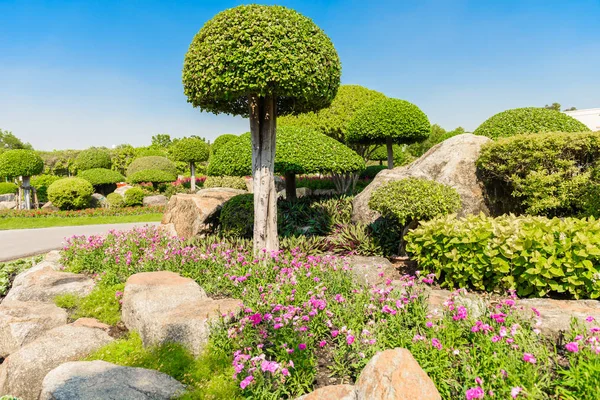 Jardinería Paisajismo Con Árboles Plantas Decorativas —  Fotos de Stock