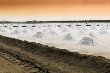 Samutsongkhram, Tayland tarım tuz.