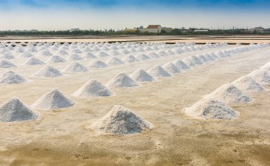 Samutsongkhram, Tayland tarım tuz.