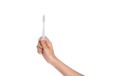 el, beyaz zemin üzerine izole bir diş fırçası