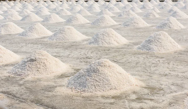 Salt Farming Samutsongkhram Thailand — Stock Photo, Image