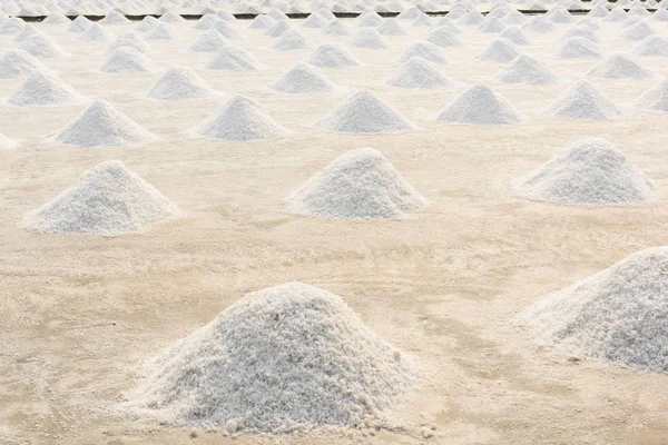 Salt Farming Samutsongkhram Thailand — Stock Photo, Image